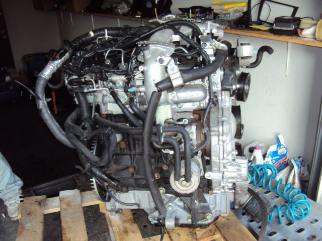 NISSAN MURANO двигатель 2.5 DCI голый без навесного оборудования Z51 новый