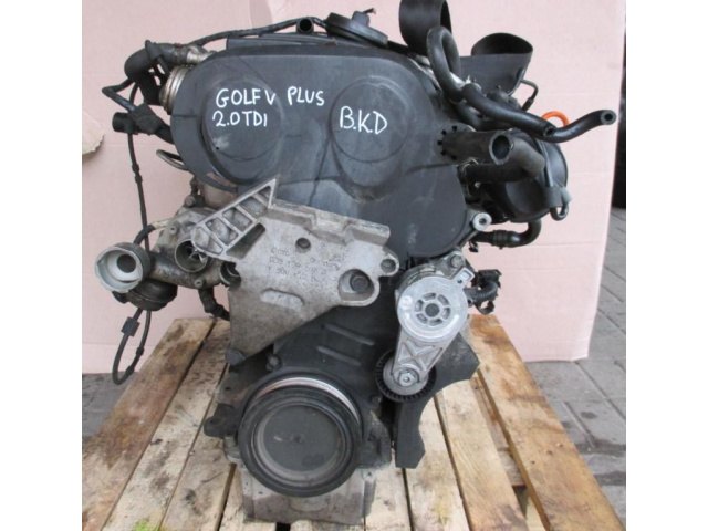 VW GOLF V PLUS 2.0 TDI двигатель BKD в сборе