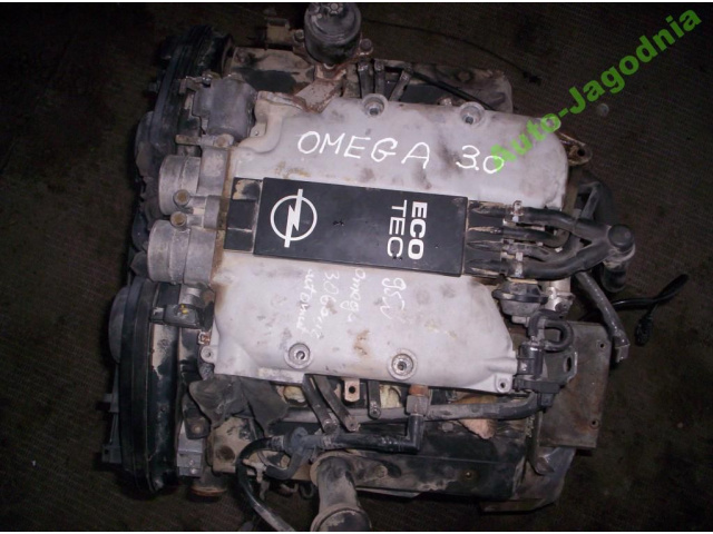 OPEL OMEGA B 3.0 V6 двигатель