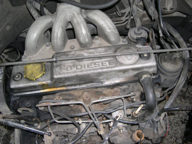 Двигатель - Ford Escort 1.8 D 1995 r