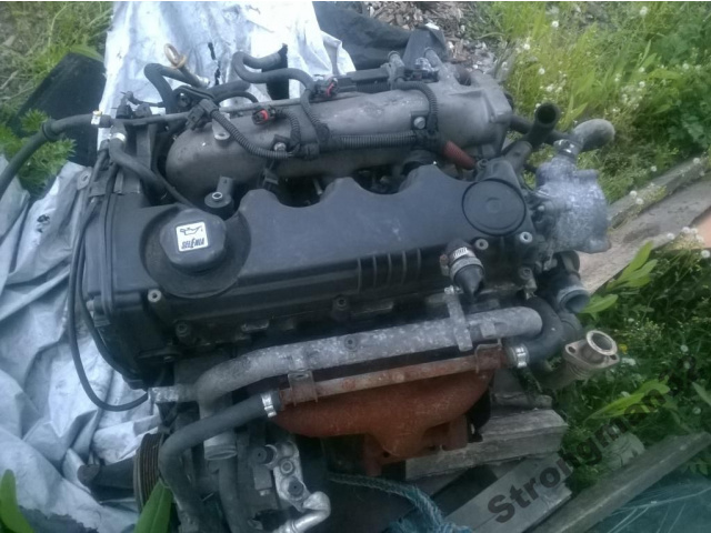 Alfa Romeo 147 156 двигатель 1.9 JTD отличное недорого