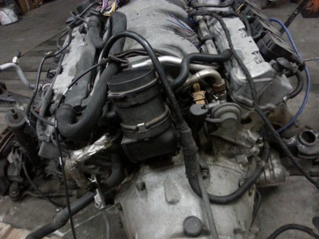 Двигатель mercedes W210 AMG 5.5 АКПП 98г.. Акция!!!