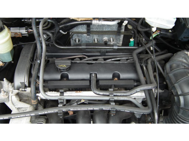Двигатель Ford Focus 2003 1.6 бензин