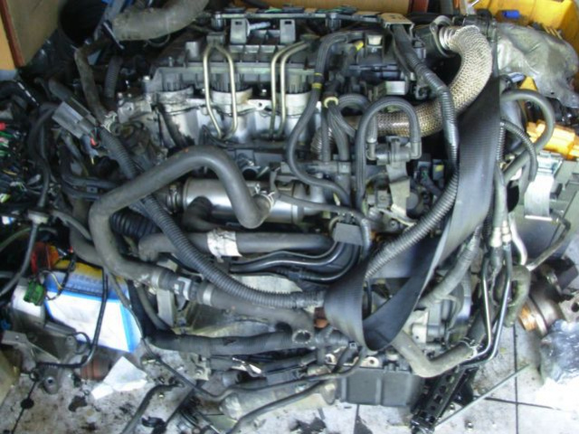 Двигатель ford focus 2 1.6tdci, цена za без навесного оборудования