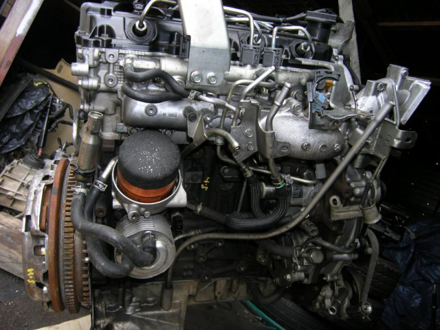 Двигатель NISSAN NAVARA D 40 2.5DCI 190 KM в сборе