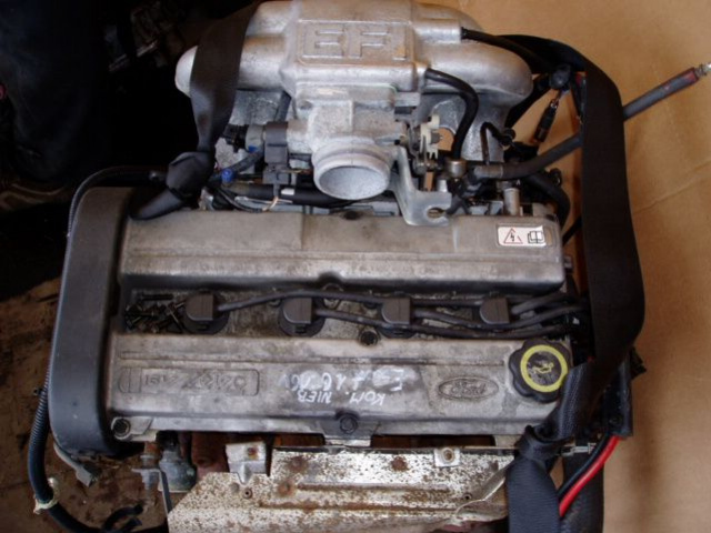 FORD ESCORT 1, 6 16V 1995 год двигатель