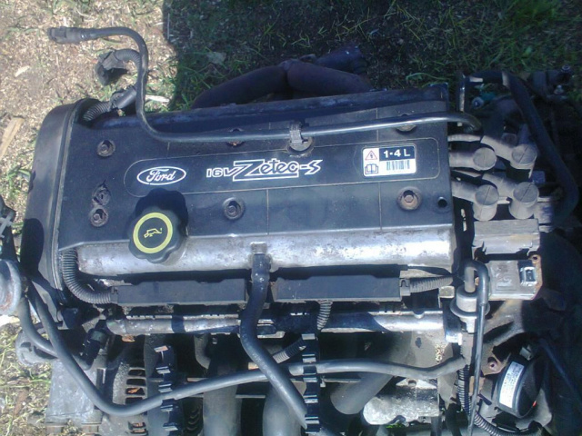 Двигатель FXDC FORD FOCUS MK1 1.4 16V ZETEC-S 75KM