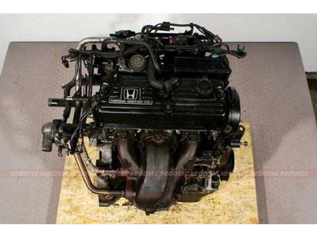 Двигатель HONDA PRELUDE 91 2.0 12V B20A3 XEDOS FV