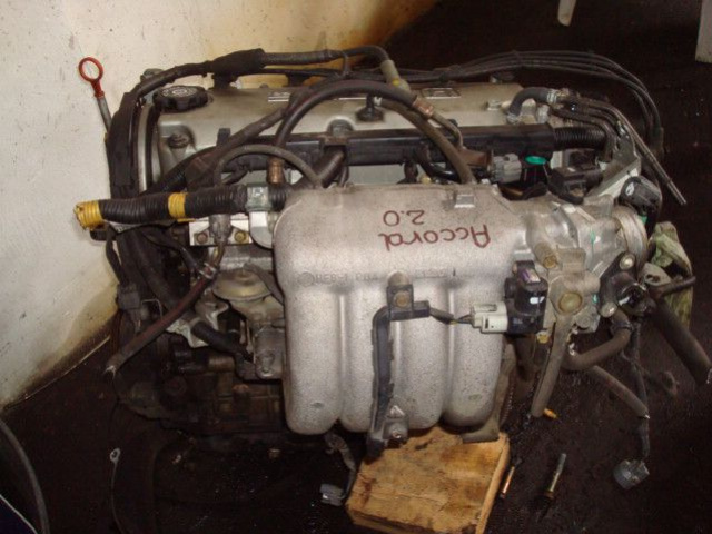 Двигатель Honda Accord 1.8 бензин 98-2002