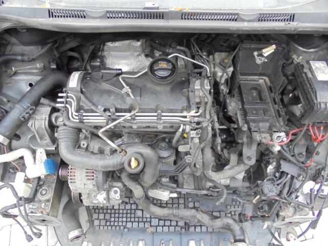 *двигатель BKC 1.9 TDI 77KW 105 л.с. VW GOLF V PLUS