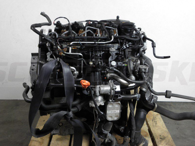 Двигатель 1.6 TDI CAY CAYD VW CADDY GOLF 2012 LEGALNY