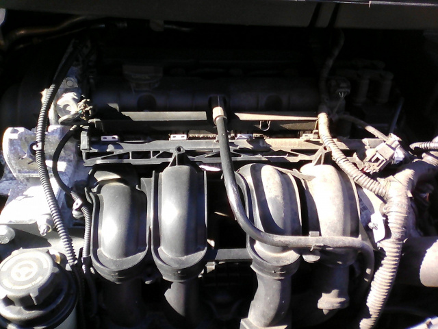 Двигатель FORD C-MAX 1, 6 бензин 2007г.