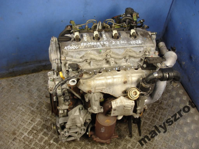 NISSAN PRIMRA P12 2.2 DCI двигатель YD22 гарантия