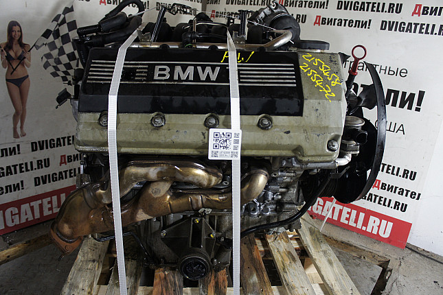 Фотография мотора BMW M62 B44 (448S2)