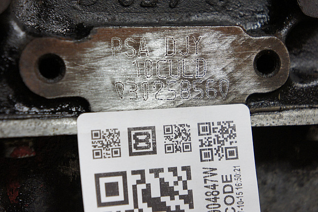 Номер двигателя и фотография площадки Fiat DJY