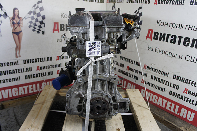 Фотография двигателя Alfa Romeo AR 64103