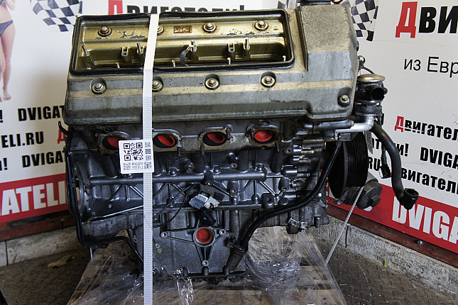 Контрактный двигатель BMW M62 B44 (448S2)