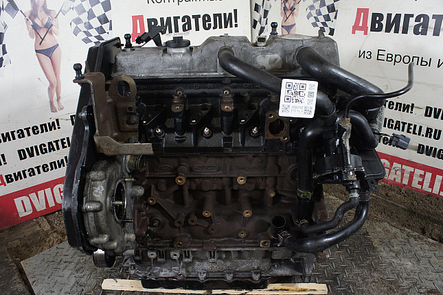 Контрактный двигатель Ford KKDA