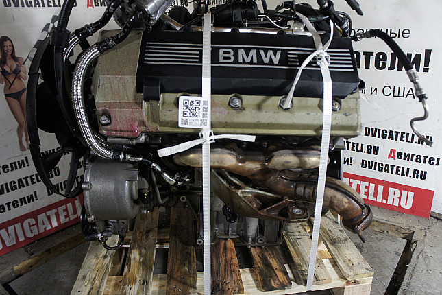 Фотография двигателя BMW M62 B44 (448S2)