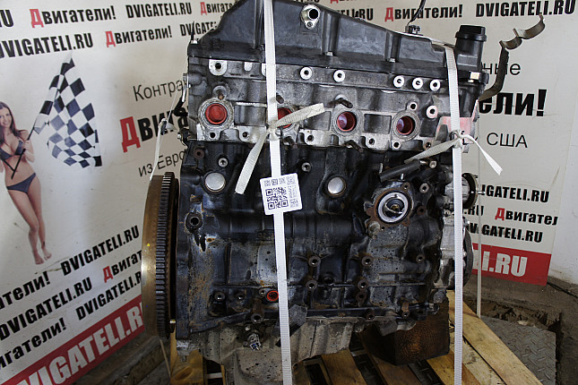 Фотография двигателя Toyota 1KD-FTV