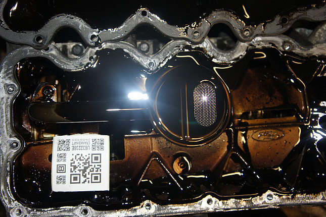 Фотография блока двигателя без поддона (коленвала) FORD EYDC
