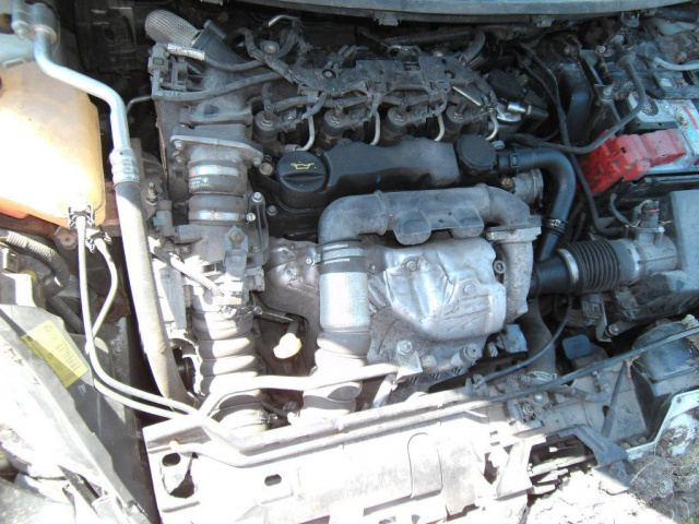Двигатель Ford Fiesta MK7 1.6 tdci DV6ATED4 09г. Wlkp