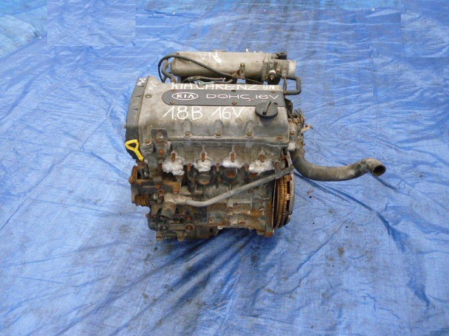 Двигатель KIA CLARUS SHUMA 1.8 16V 116 KM T8