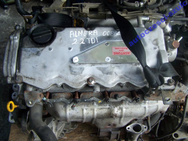 Двигатель Nissan Almera N16 2.2 DI 2002г. гарантия