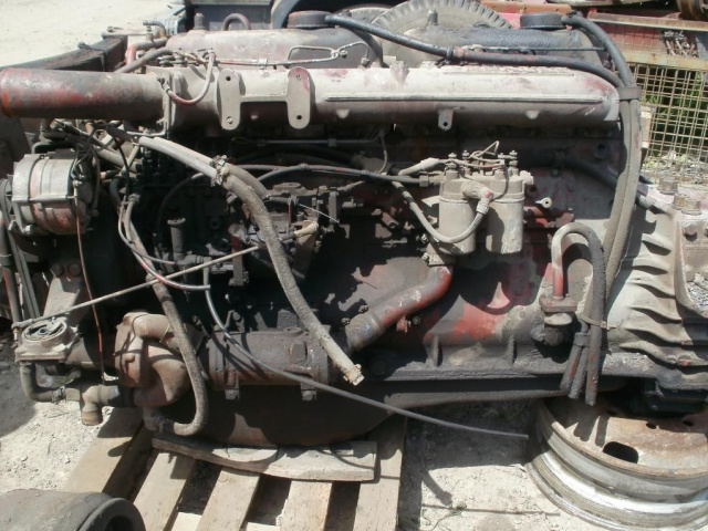 RENO Major 6x4 двигатель 385 в сборе. Renault D.G TUTKA