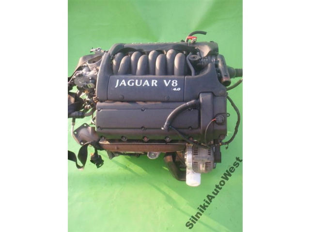 JAGUAR XJ8 XJ X308 XK XK8 двигатель 4.0 V8 Z VANOSAMI