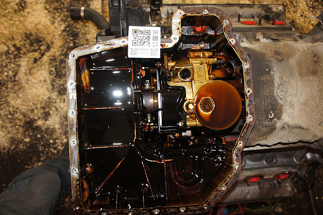 Фотография блока двигателя без поддона (коленвала) BMW M 62 B 44TU (448S2)