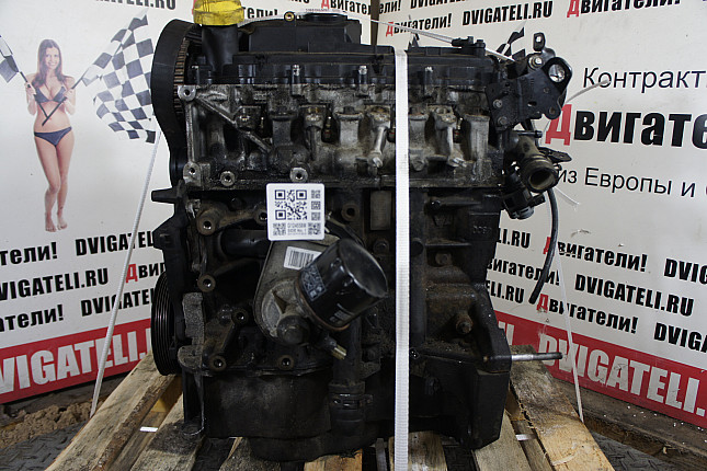 Фотография двигателя Renault K9K 832
