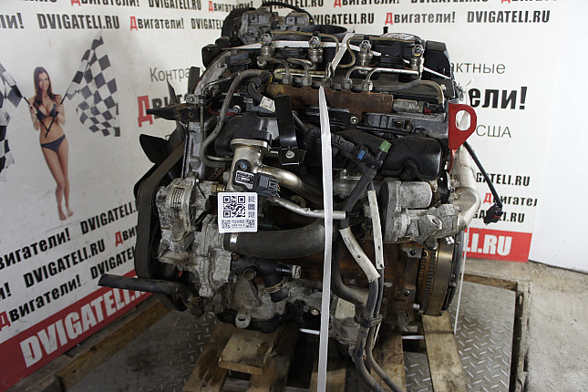 Контрактный двигатель Land Rover 244DT