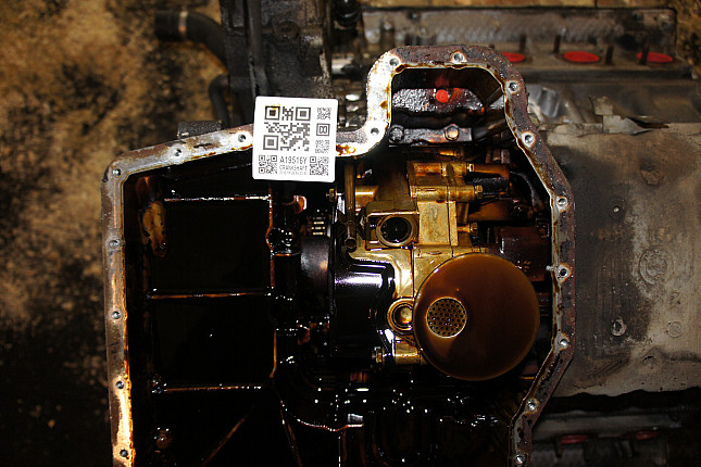 Фотография блока двигателя без поддона (коленвала) BMW M 62 B 44TU (448S2)
